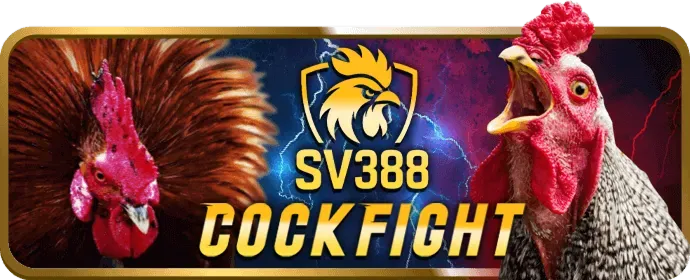Máy Đánh Bạc